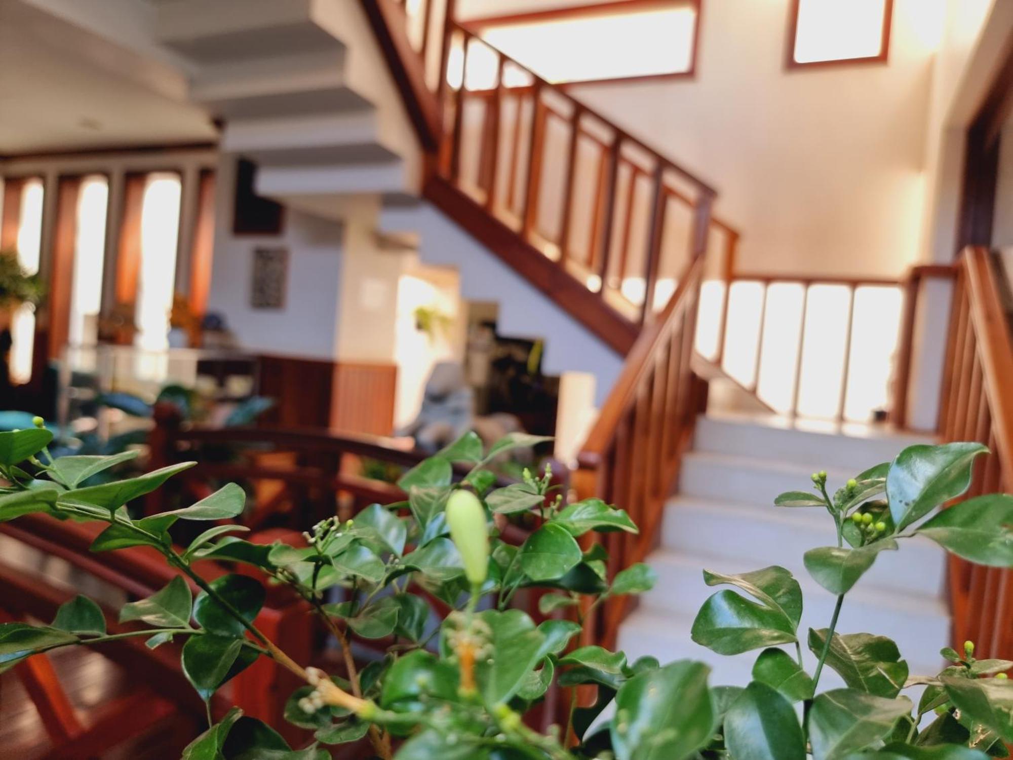 Vid Angkor Boutique Otel Siem Reap Dış mekan fotoğraf